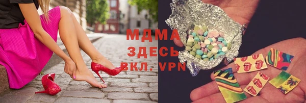 мдпв Ельня