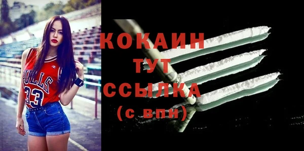 мдпв Ельня