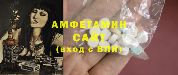 мдпв Ельня