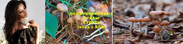 гашишное масло Елабуга