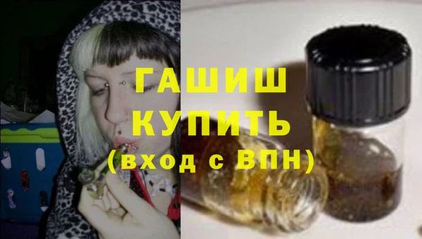 мдпв Ельня