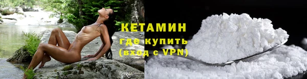 прущие грибы Елизово
