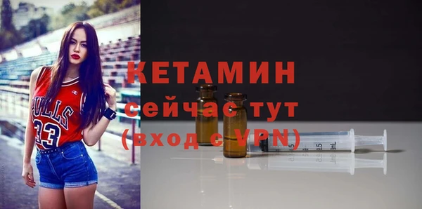 прущие грибы Елизово