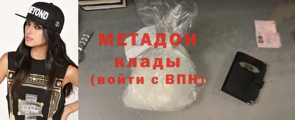 прущие грибы Елизово