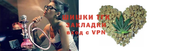 мдпв Ельня