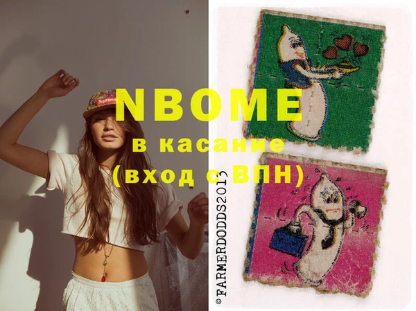 прущие грибы Елизово