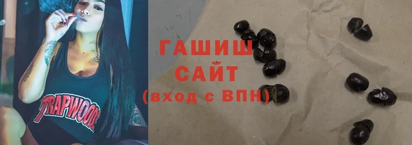 мдпв Ельня