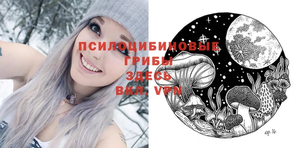 прущие грибы Елизово