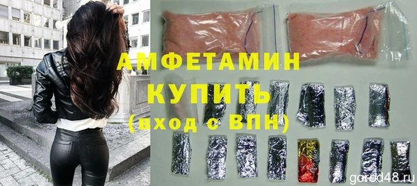 мдпв Ельня