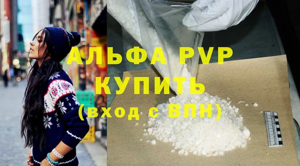 прущие грибы Елизово