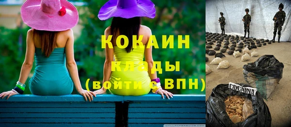 прущие грибы Елизово