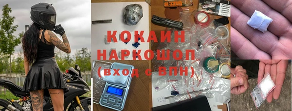 мдпв Ельня