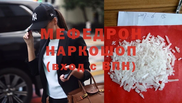 мдпв Ельня