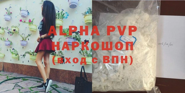 прущие грибы Елизово