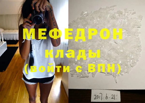 мдпв Ельня