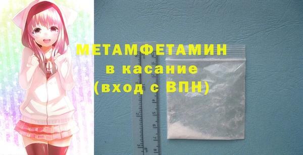 прущие грибы Елизово