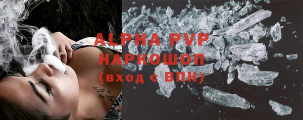 мдпв Ельня