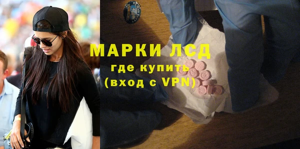 прущие грибы Елизово