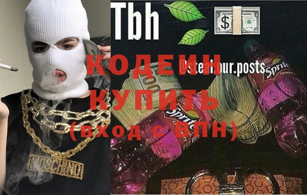 мдпв Ельня