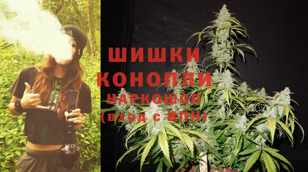 прущие грибы Елизово