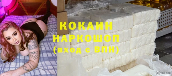 мдпв Ельня