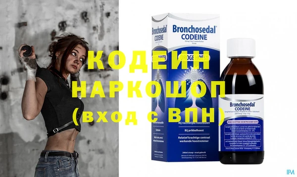 прущие грибы Елизово