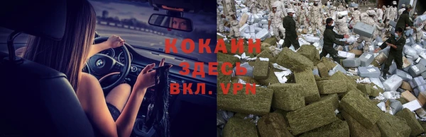 прущие грибы Елизово