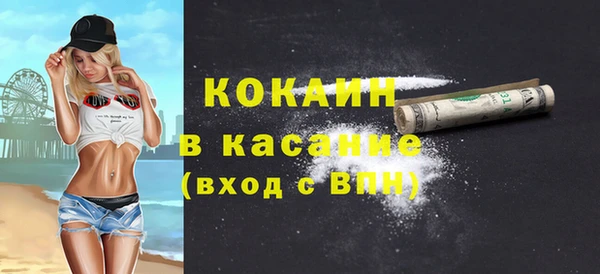 мдпв Ельня