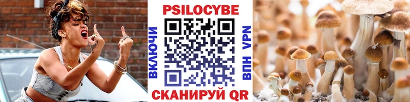 Псилоцибиновые грибы мицелий  ссылка на мегу маркетплейс  Краснообск 
